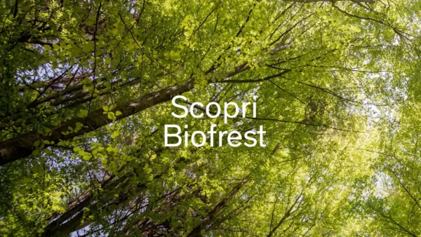 890_scorpi_bioforest_ita